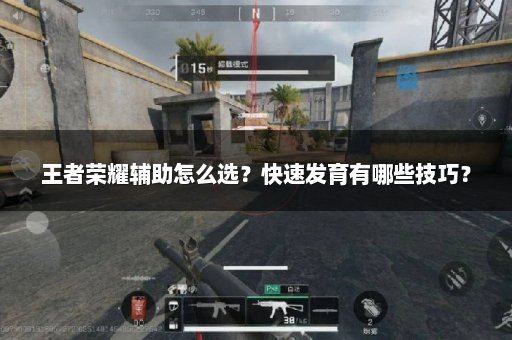 王者荣耀辅助怎么选？快速发育有哪些技巧？